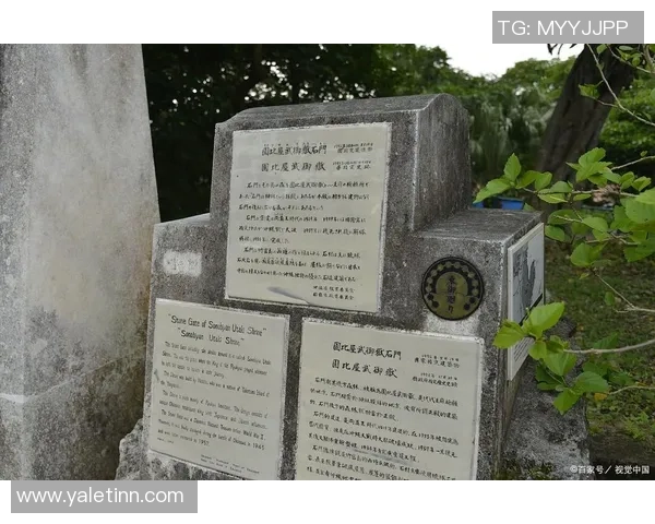 琉球族足球明星的崛起与影响力探讨