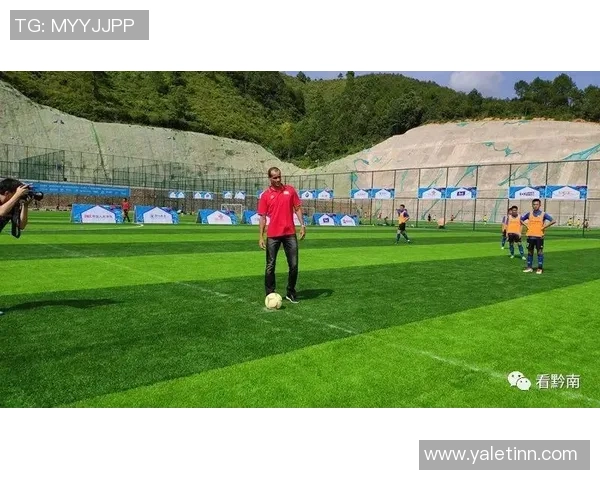 足球明星在南宁购置豪宅引发热议当地房产市场迎来新机遇 足球明星在南宁购置豪宅引发热议当地房产市场迎来新机遇