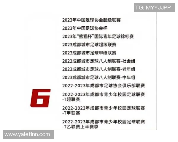 足球战术：成都足球队的整体压制体系