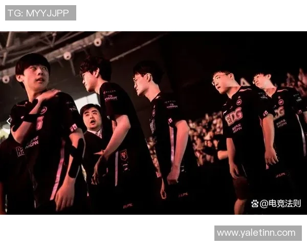 数据分析：EDG的团队协作表现