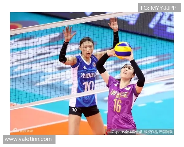 深度对话:周娜的排球人生 深度对话:周娜的排球人生