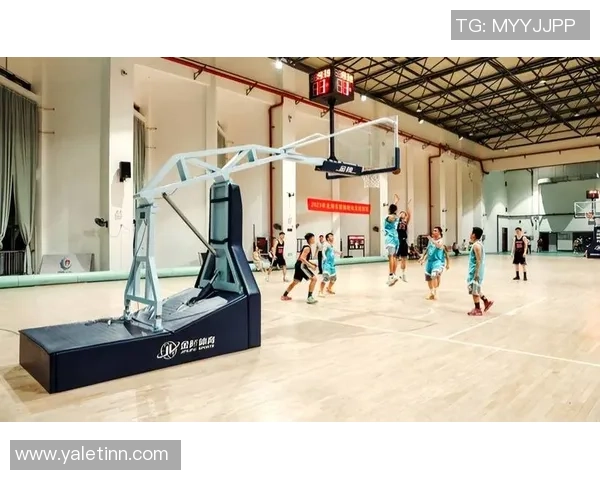 数据分析：西安篮球队的战术表现