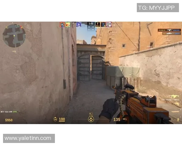 CS_GO专题：聚焦V5的战术