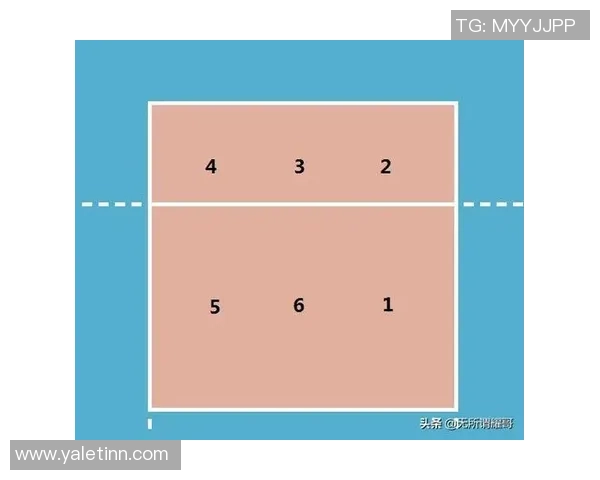 排球深度：解密成都排球队的转换_1