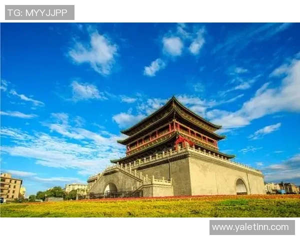 重磅专题：西安排球队的快攻革新